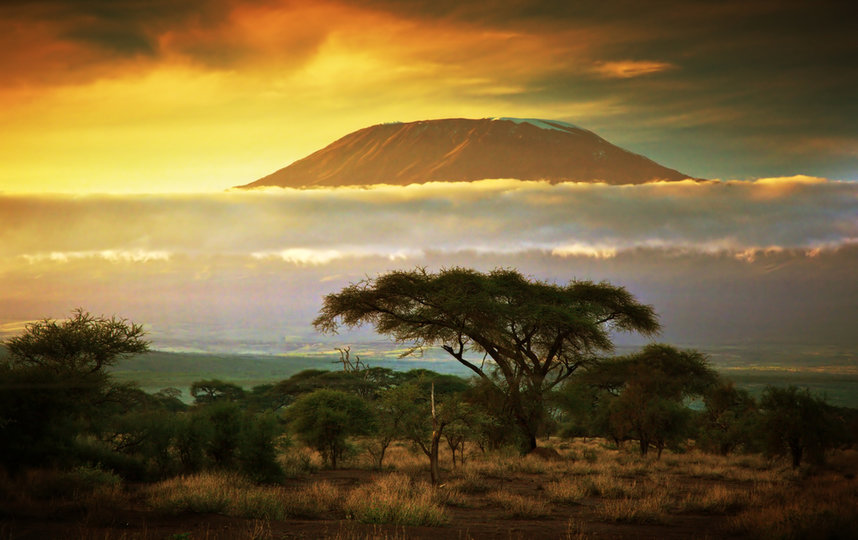 Килиманджаро. 