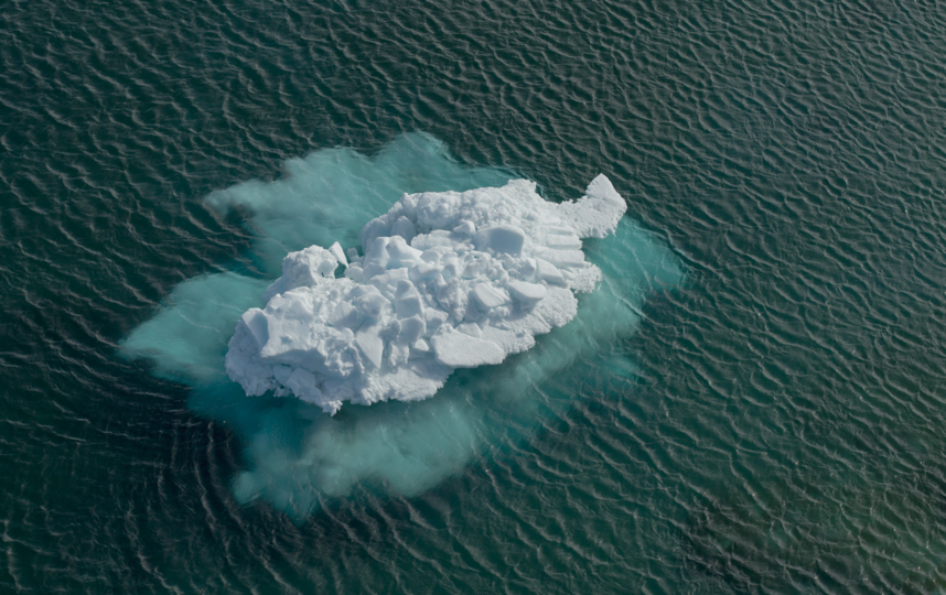 Дрейфующая льдина плывёт навстречу тёплым морям. Фото пресс-служба фонда "Чистые моря"
