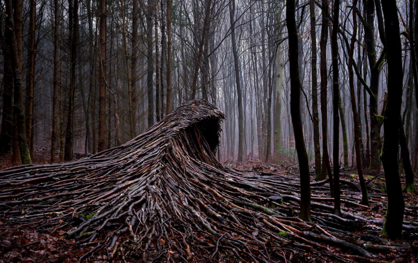 Деревянные волны в лесу. Фото METRO WORLD NEWS