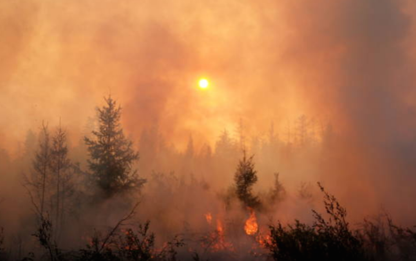 Из-за лесных пожаров в Якутии сгорело 8 миллионов гектаров территории. Фото Getty