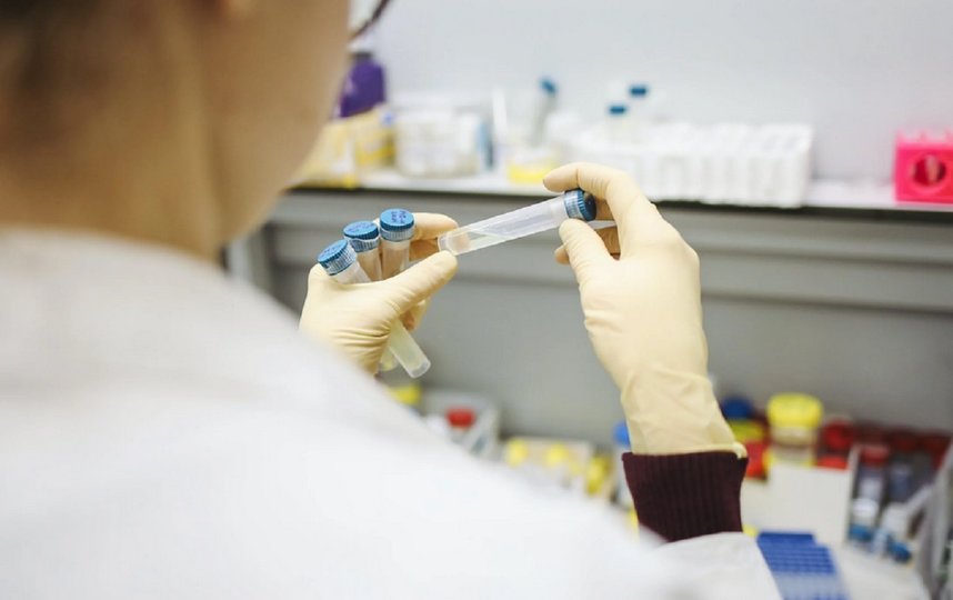 Вакцина "Спутник Лайт" является первым компонентом вакцины "Спутник V". Фото pexels.com.
