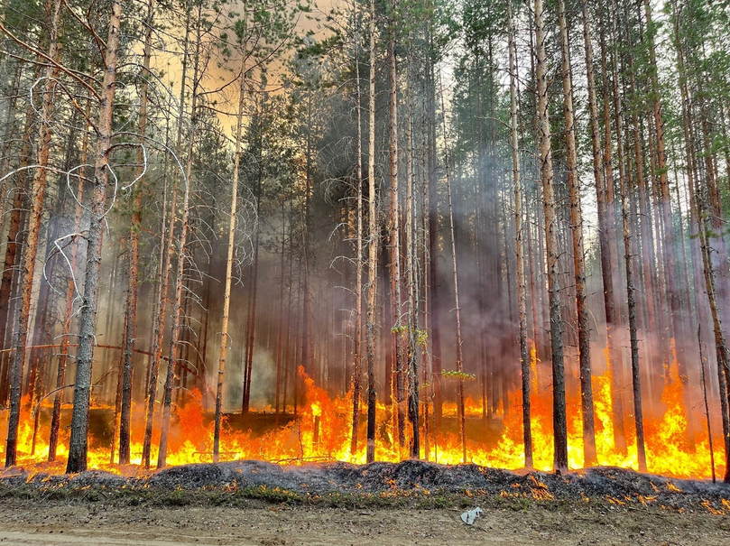 В Карелии бушуют лесные пожары. Фото https://vk.com/aparfenchikov, vk.com