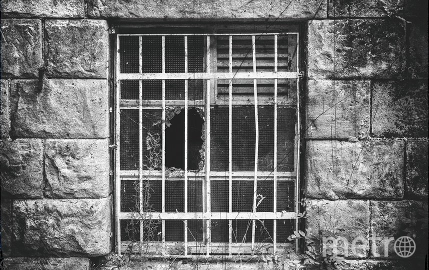 В СК рассказали о подземной тюрьме в Ленобласти: там не было пленников