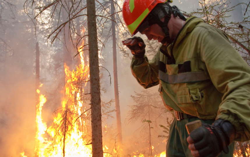 Огонь в тайге лесные десантники-пожарные тушат вручную. Фото Пресс-служба "Рослесхоза"