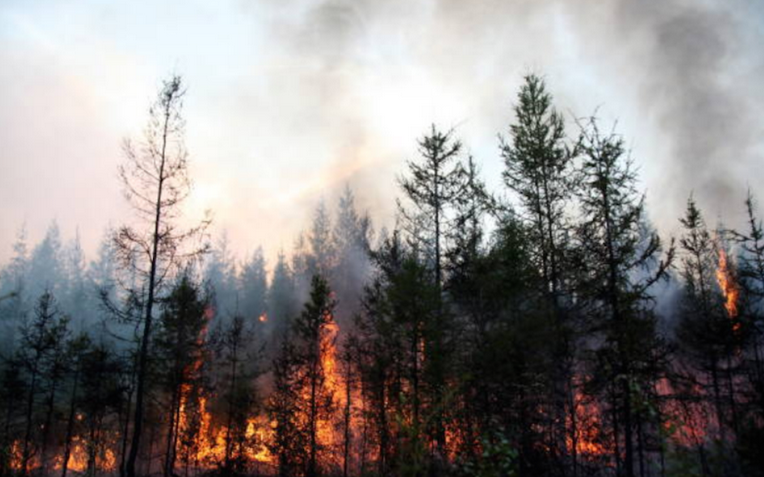 Лсные пожары в Якутии уничтожили миллионы гектаров леса. Фото Getty