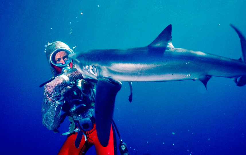 "Игры с акулами". Фото Metro World News.