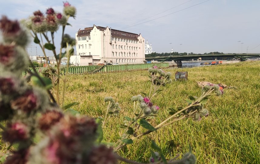 На набережной реки Охты появится сад непрерывного цветения. Фото https://www.gov.spb.ru/