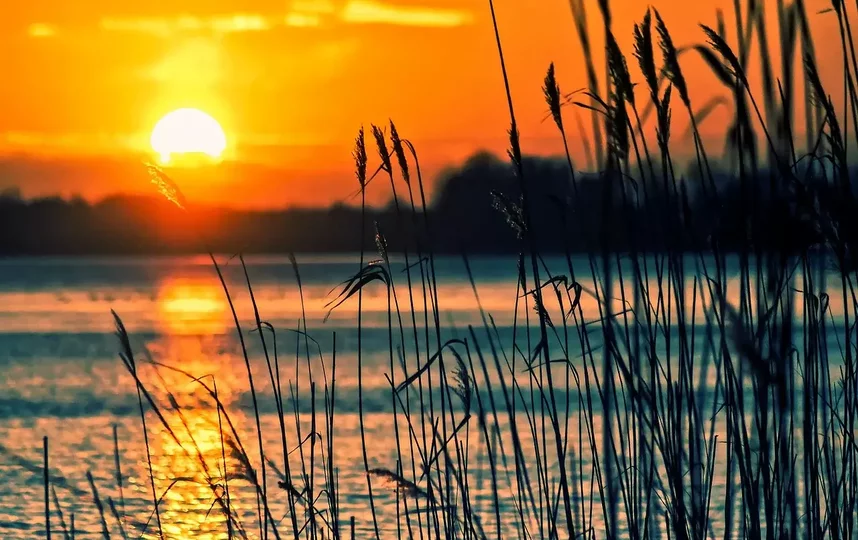 Только Суздальское озеро соответствует требованиям санитарного законодательства. Фото pixabay