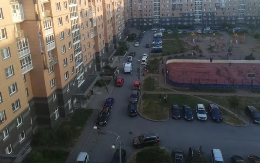 Инцидент произошел в Пушкинском районе. Фото  vk.com/Славянка | Подслушано.