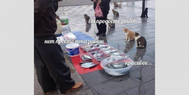 Новый мем. Новый мем.