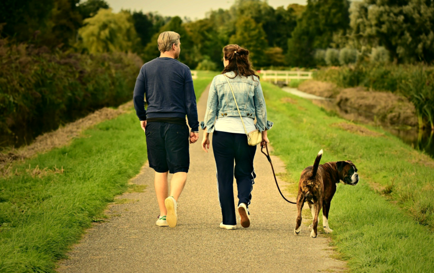 Пешие прогулки – отличное средство профилактики варикоза. Фото pixabay