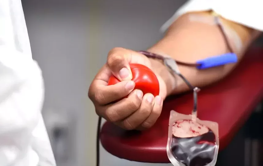 Международным обществом переливания крови признается наличие 43 групп крови людей. Фото Pixabay