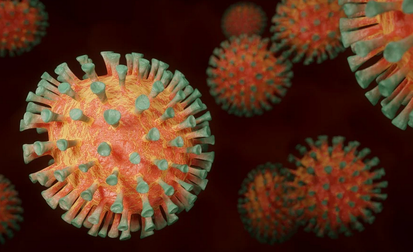 У пациентки в Петербурге нашли такую же мутацию коронавируса, как и у датских норок