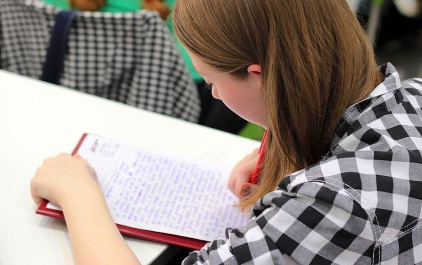 Восьмилетняя девочка станет студенткой МГУ. Фото Pixabay
