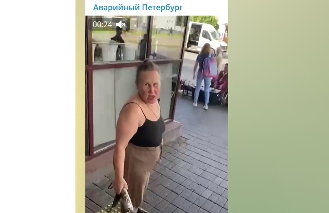 За приспущенную маску девушка получила удар по спине от неадекватной дамы. Фото Telegram-канале «Аварийный Петербург».