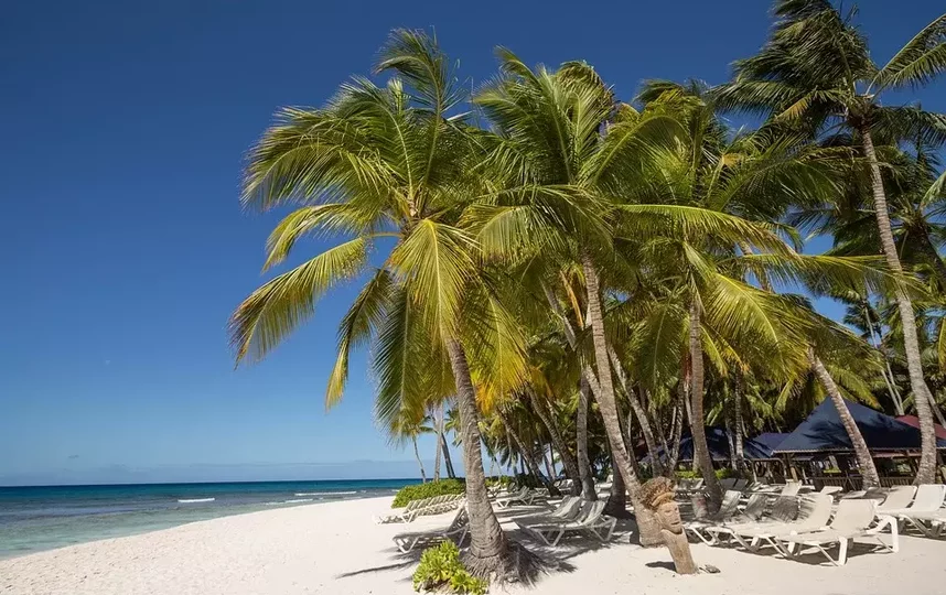 С 1 октября петербуржцы смогут отправиться в Доминикану. Фото Pixabay