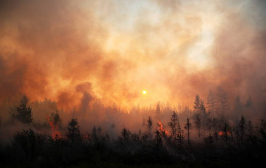 Пожары в Якутии взяли под контроль. Фото Getty