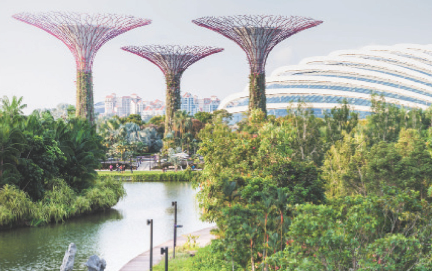 Gardens by the Bay – cимвол Сингапура. Фото Istock