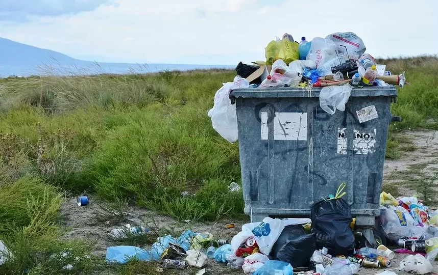 Петербург вступает в мусорную реформу. Фото Pixabay