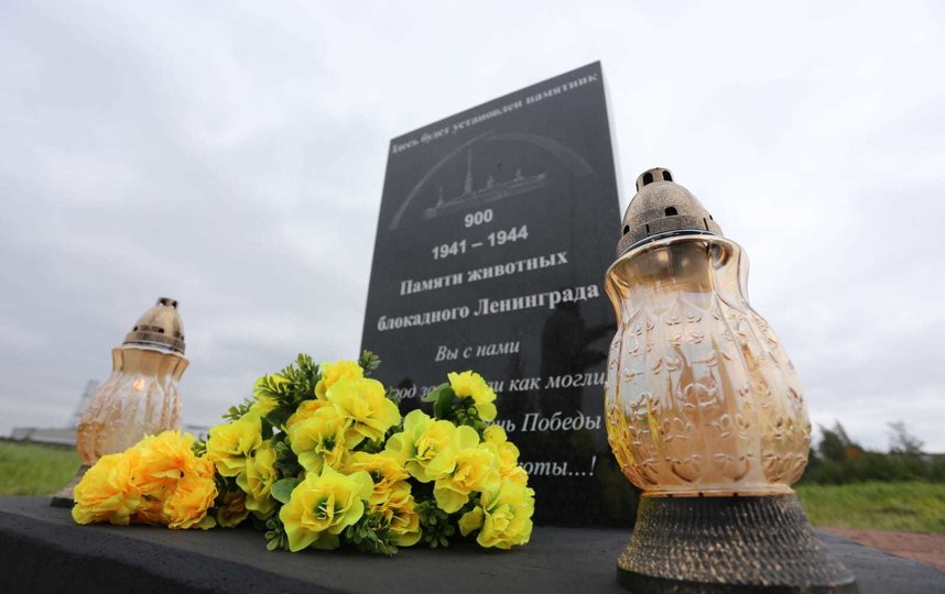 Памятник установят в мае 2022 года. Фото Пресс-служба Администрации Петербурга.
