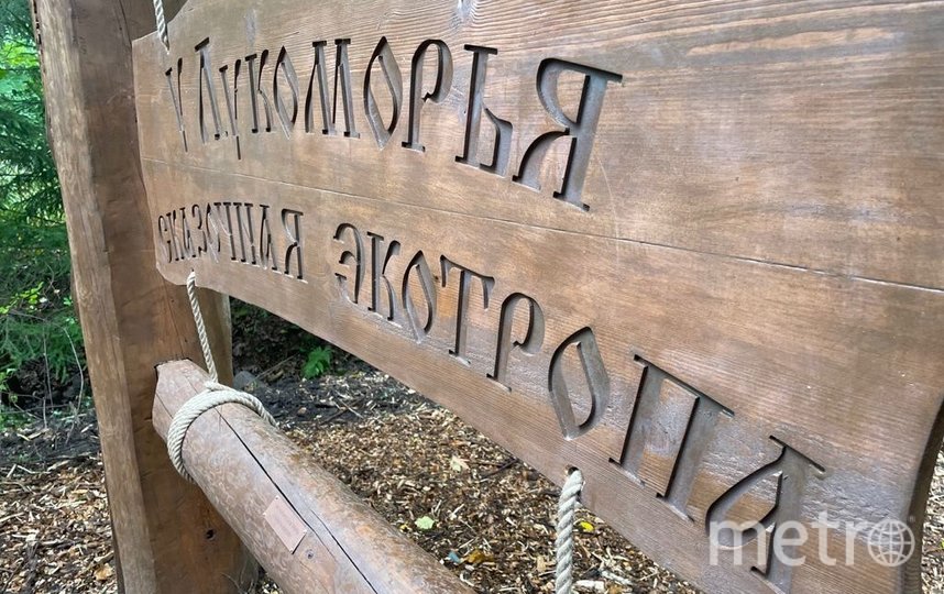 В Петербурге появилась первая детская экотропа "У Лукоморья"