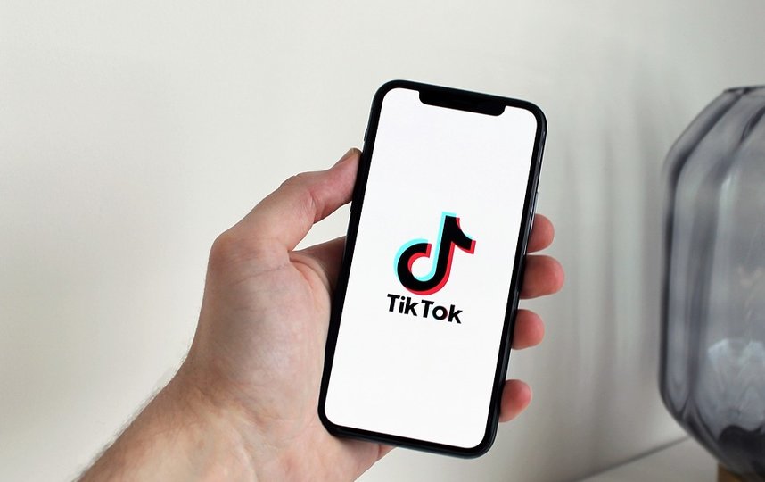 На Украине открыли первый в мире факультет по TikTok. Фото Pixabay