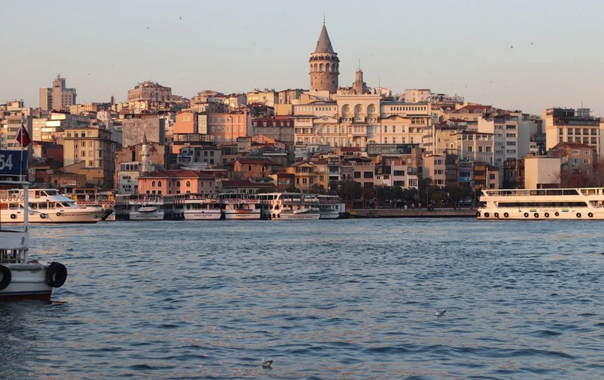 Турция отказалась признавать "ЭпиВакКорону" и "КовиВак". Фото Pixabay.