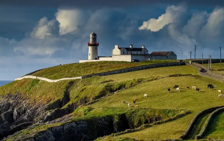Ирландия. Фото Pixabay