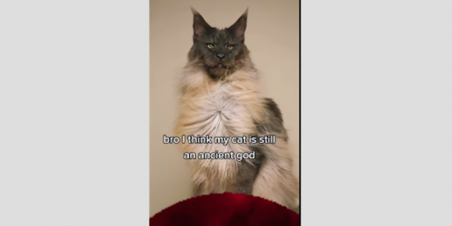 Сакральные коты. Сакральные коты.