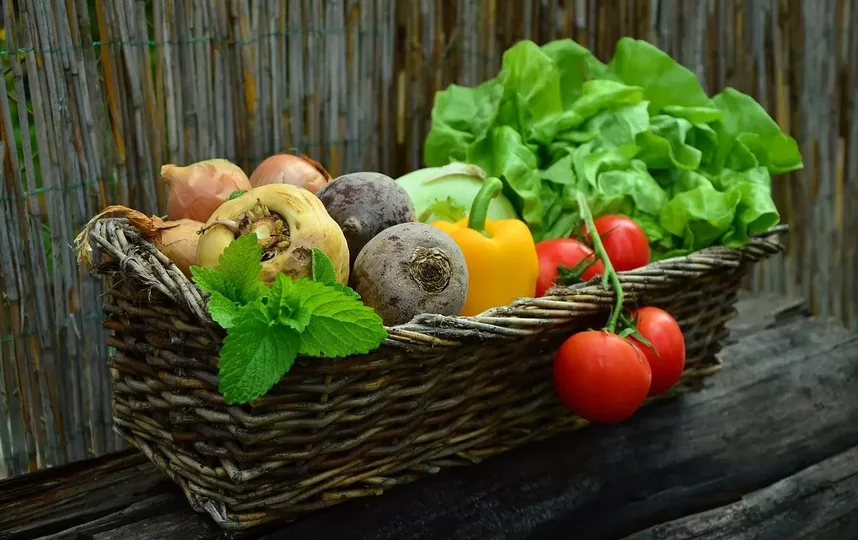 Российские ученые создают прибор для поиска химикатов в овощах и фруктах