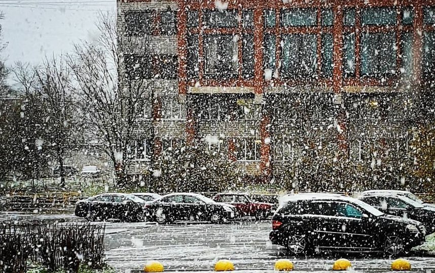 Первый снег в Ленинградской области. Фото Instagram: @aitova077
