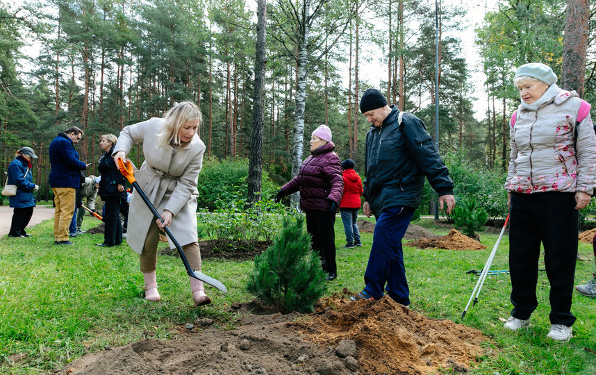 Весной 2021 года на общегородскую посадку деревьев вышло 100 горожан, а осенью на мероприятие записалось уже более 200 человек. Фото gov.spb.ru