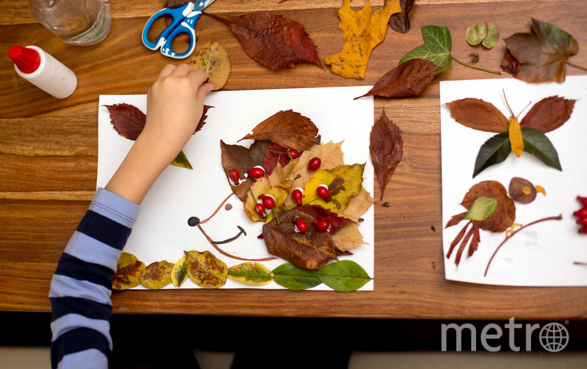 Осенние поделки из природного материала в детский сад и школу