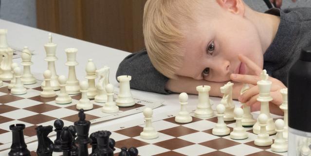 В шахматных школах Петербурга резко выросло количество детей.