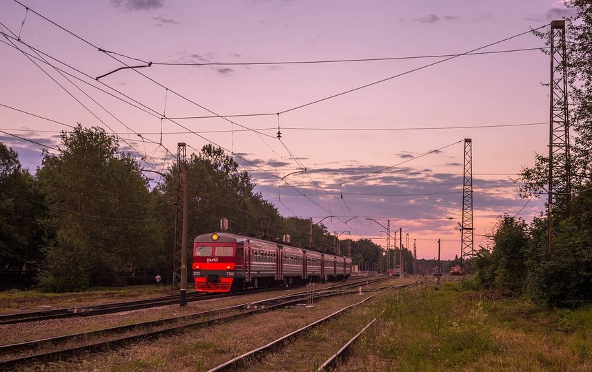 Петербурженка пыталась перейти железнодорожные пути в неположенном месте. Фото pixabay