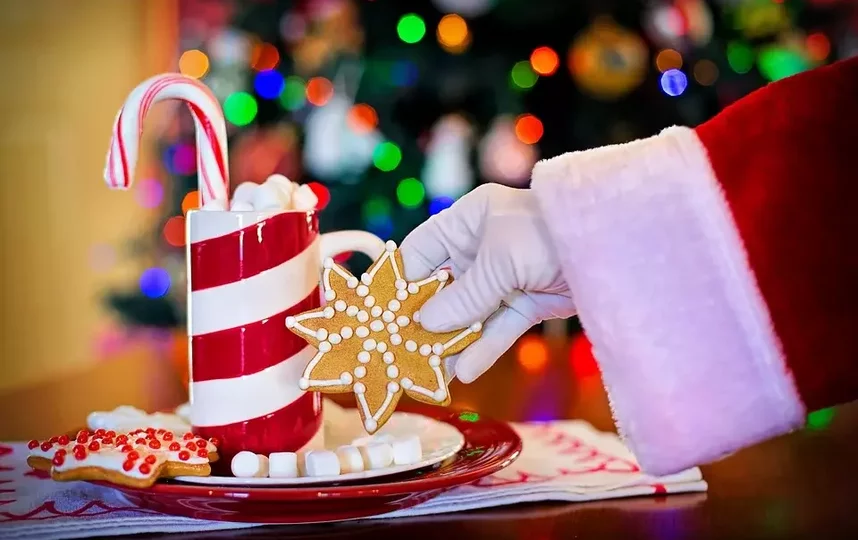 Дед Мороз прошел полный курс вакцинации и готов к празднованию. Фото pixabay.com