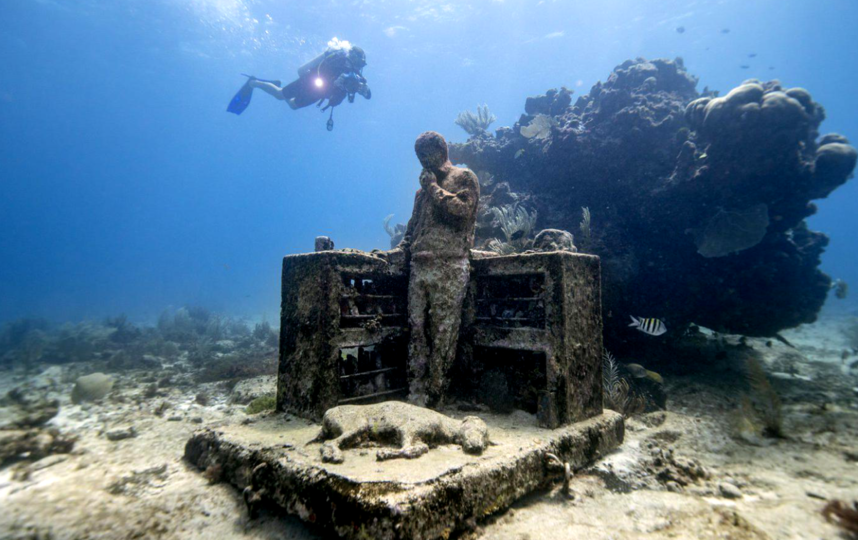 Подводная выставка. Фото DONALD MIRALLE | GETTY IMAGES