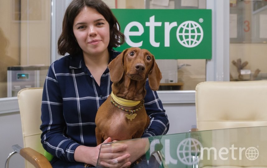 Такса Электра и ветеринар Елизавета Ершова в редакции Metro. Фото Алена Бобрович, "Metro"