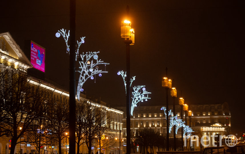 На Сенной площади на деревьях появился синий иней. Фото Святослав Акимов, "Metro"