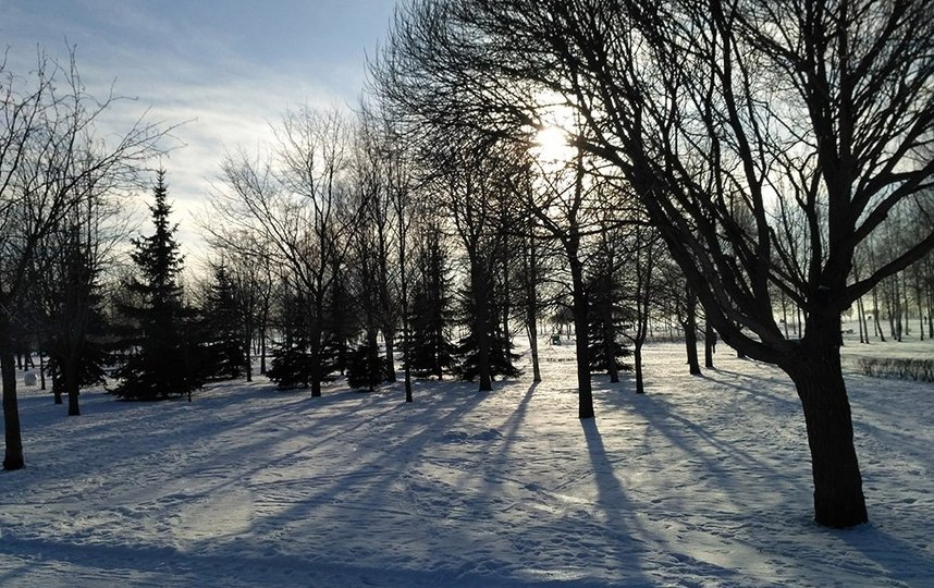 Любители зимних видов спорта считают Парк 300 летия – одной из лучших территорий в черте города. Фото https://vk.com/photo-17398071_456239073