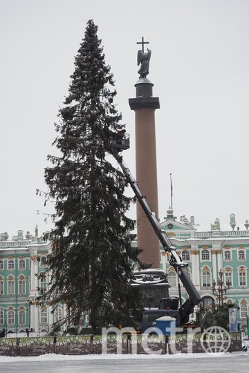 Полностью украсят ёлку к 20 декабря 2021 года. Фото Святослав Акимов, "Metro"