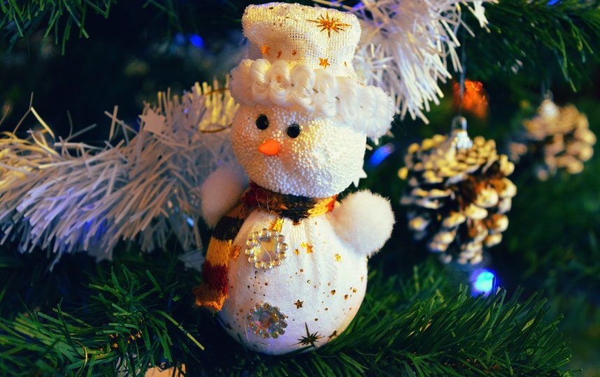 Эксперт порекомендовал при выборе праздничных украшений обращать внимание на запах. Фото pixabay.com