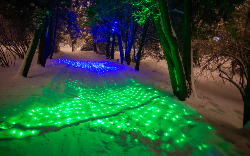 Всего маршрут содержит 24 интерактивные световые инсталляции. Фото Святослав Акимов