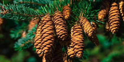 ������� ����������, �������� � ������� ���������� � ������ ����, ��� ������� ����� � ���� ���� ����������� �������