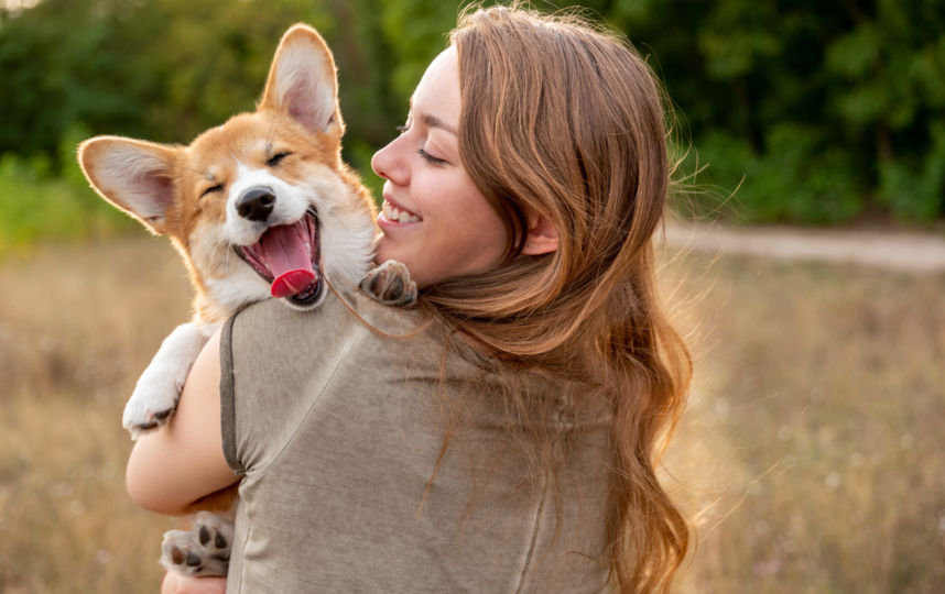 По оценке экспертов, воспитание домашних животных помогает удовлетворить биологическую и эмоциональную потребность в общении и заботе. Фото Pixabay