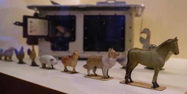 Коллекция домашних животных и плита - игрушки ленинградской девочки Веры Назаровой.