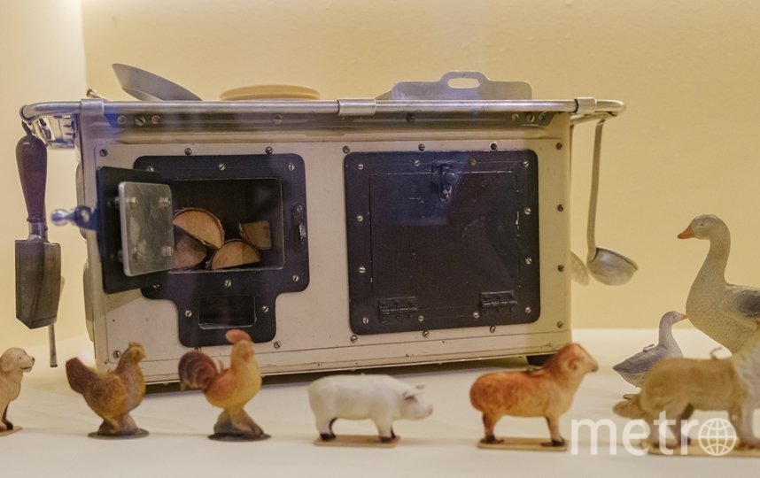Коллекция домашних животных и плита - игрушки ленинградской девочки Веры Назаровой. Фото Алена Бобрович, "Metro"