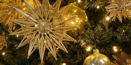 ������� ���� ����� ������ ���� � �������� �����: ������� ������ ��������� �� ������ ���������� ���������� ���������