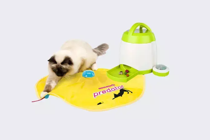 Электронная игрушка для кошек PREDATOR (2862 – 3367 рублей) и развивающая игрушка для собак Memory Trainer (6119 – 7199 рублей). Фото  4lapy