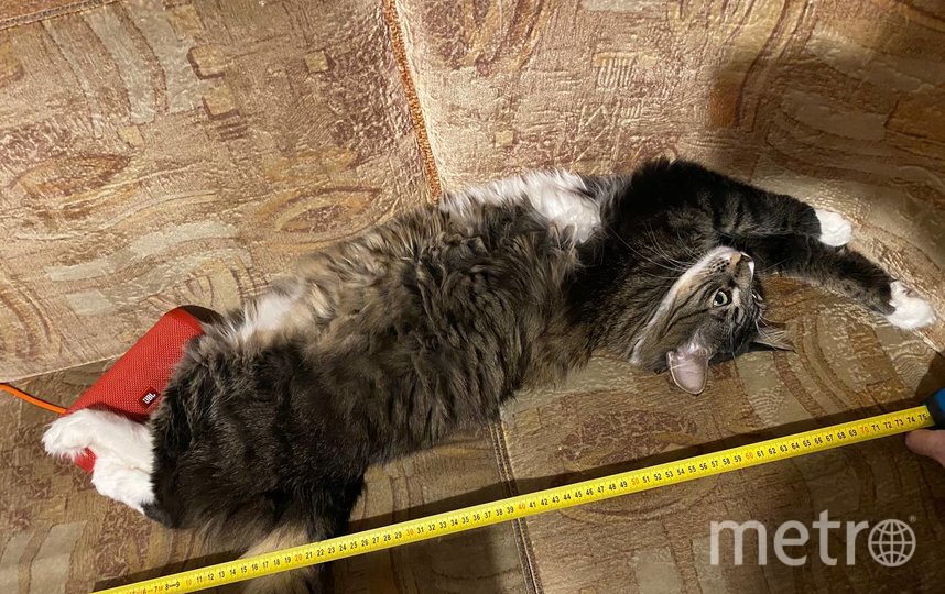 Сейчас Монс весит 6,5 кг. Фото "Metro"